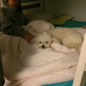 Meet your Posher, Em